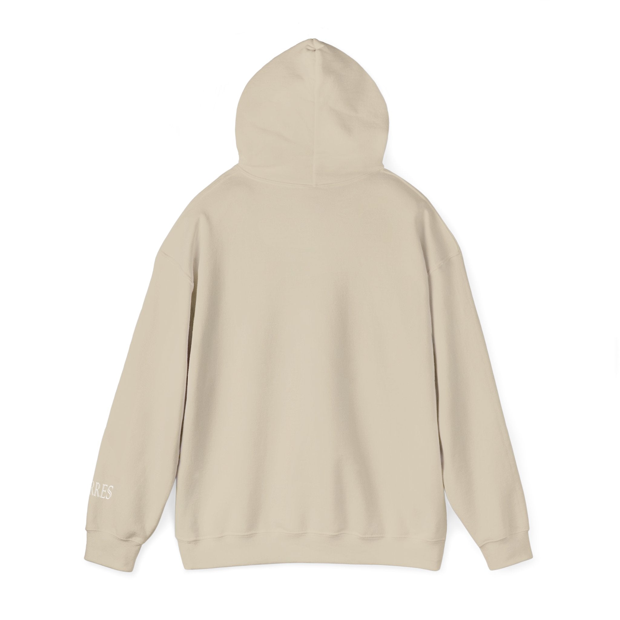 Hoodie — Minimal Black Jorres Sleeve Logo Hooded Sweatshirt