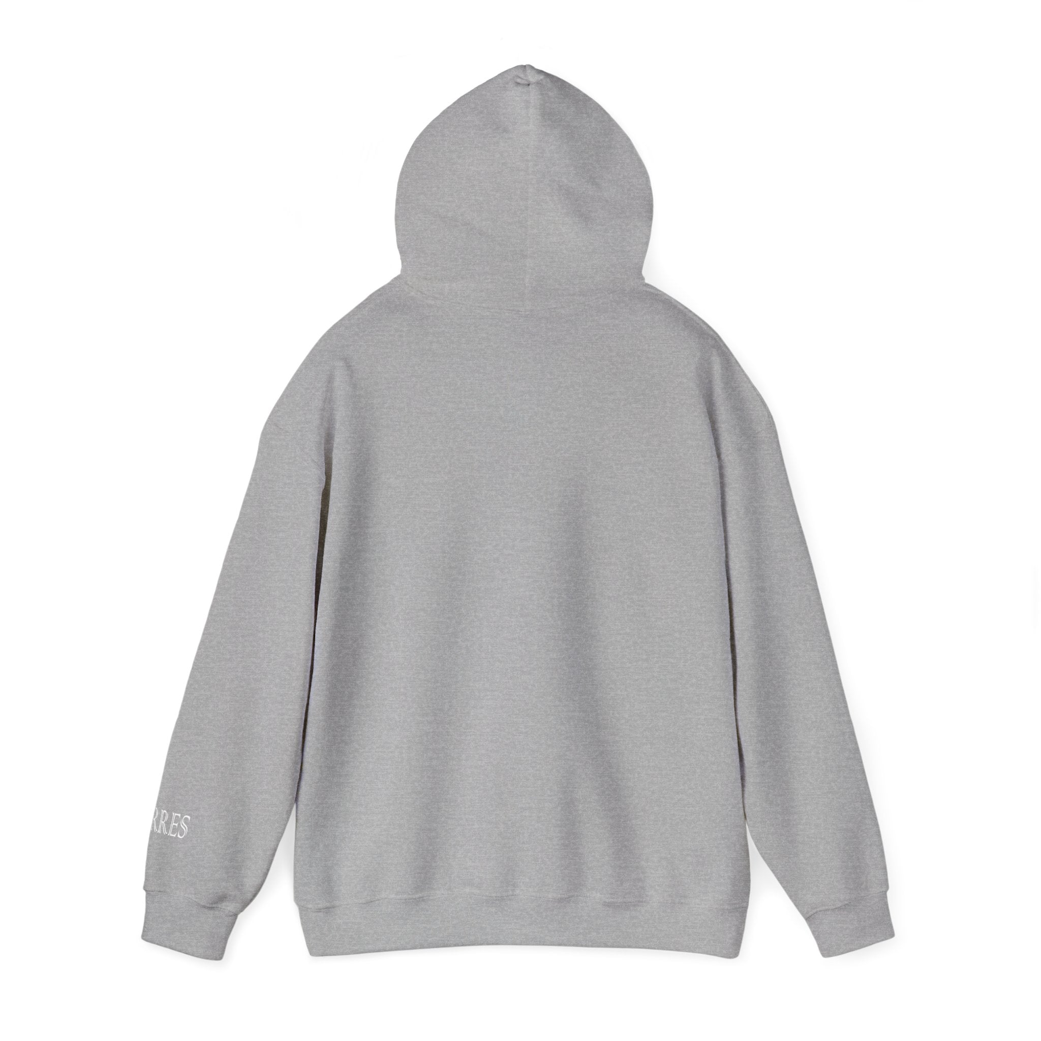 Hoodie — Minimal Black Jorres Sleeve Logo Hooded Sweatshirt