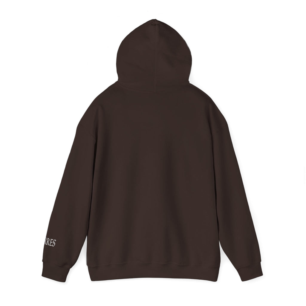 Hoodie — Minimal Black Jorres Sleeve Logo Hooded Sweatshirt